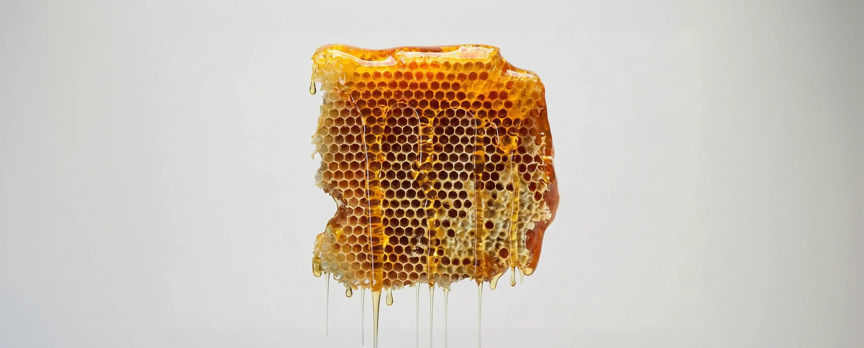 Honeycomb with honey dripping on a gray background