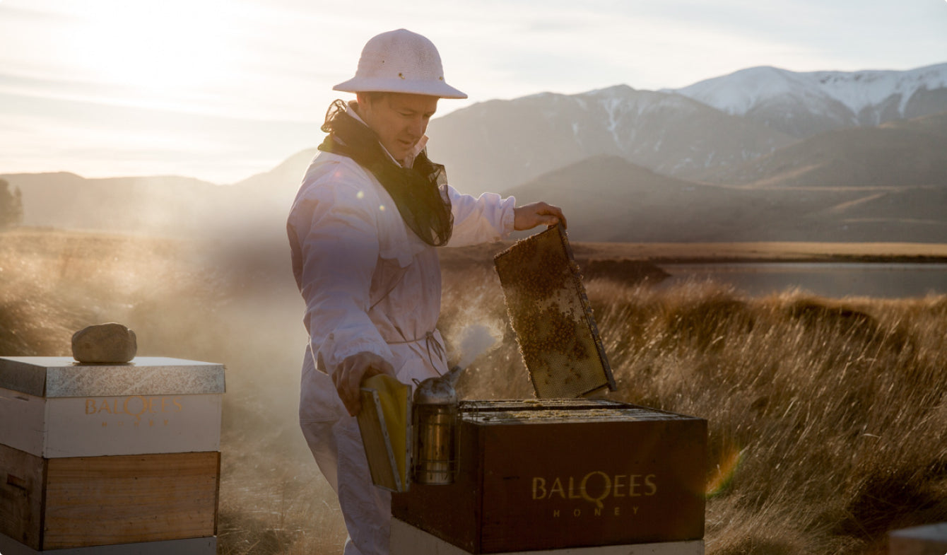 Person in a white outfit with a hat inspecting a beehive box labeled 'Balqees' against a mountainous landscape.